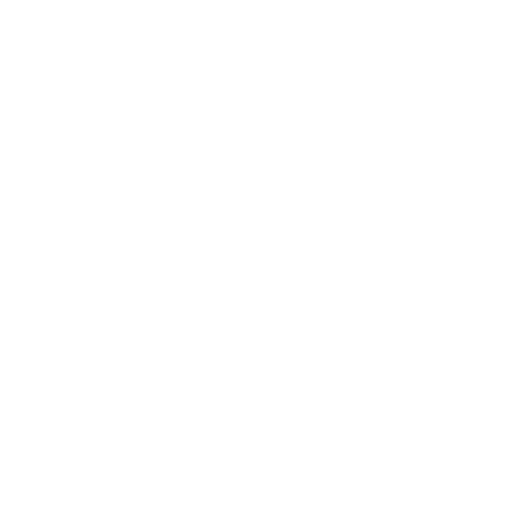 Boucher Auto Group